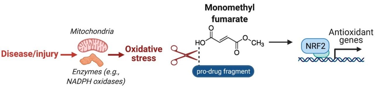 Grace Lab Research | MD Anderson Cancer Center