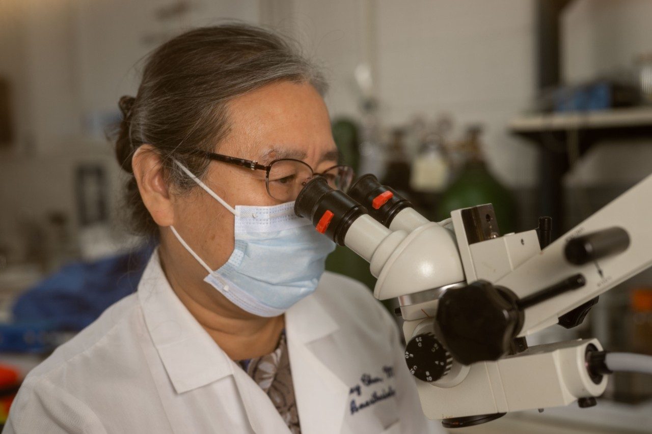 Shao-Rui Chen, Ph.D., works in the lab