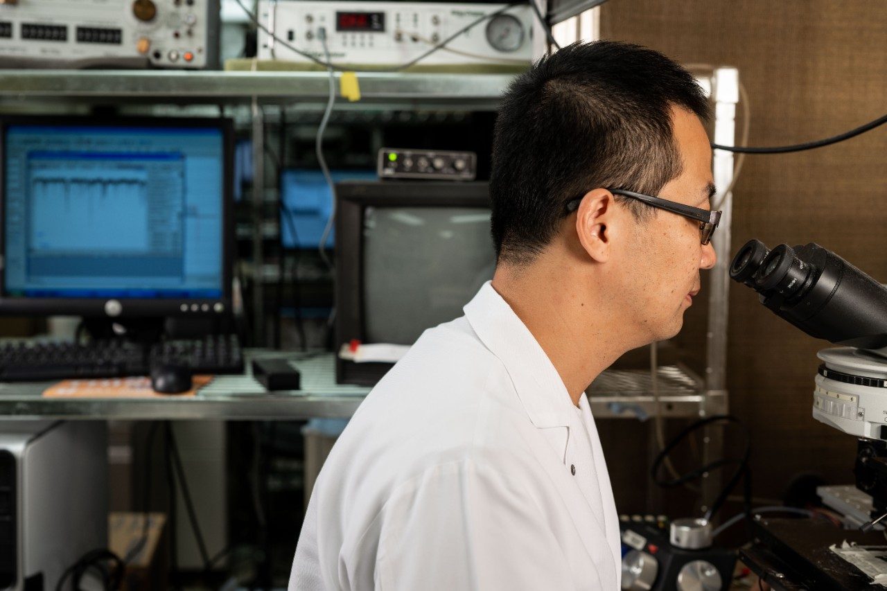 Jing-Jing Zhao, Ph.D., works in the lab