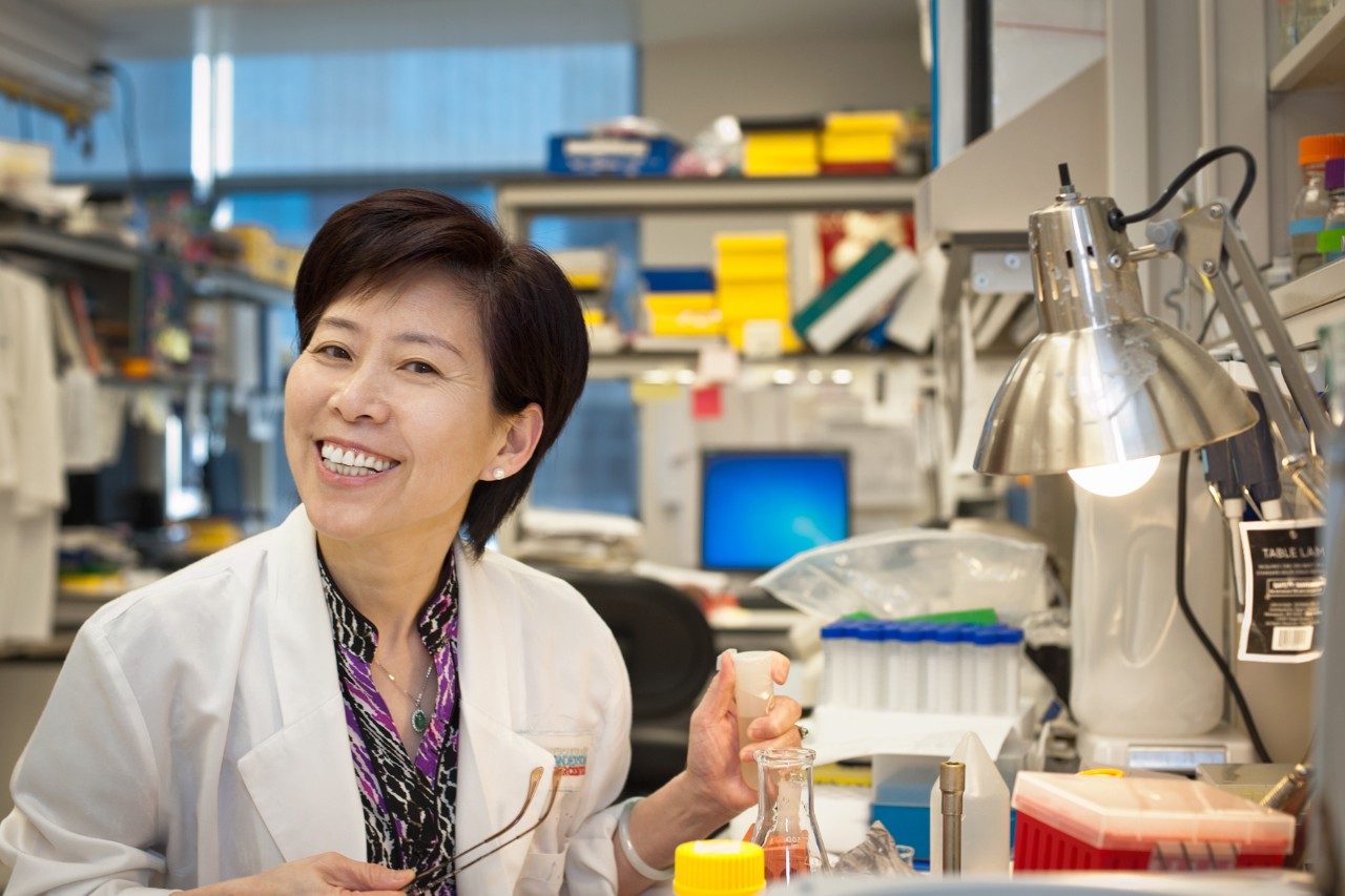 Lozano lab members are p53 pathway experts