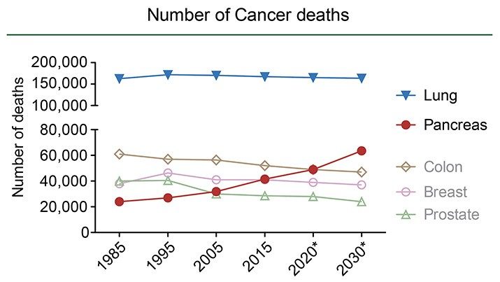 Line graph showing the number of cancer deaths for lung, pancreatic, colon, breast and prostate cancers. Lung and pancreatic cancers are the two deadliest forms of cancer.