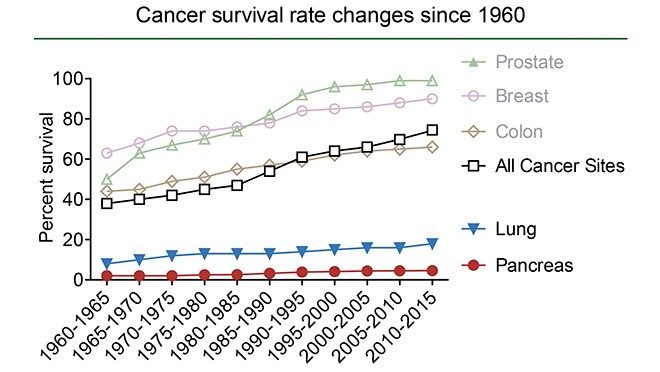 Line graph depicting cancer surival rate trends between 1960 and 2015. Lung and pancreatic cancer survival trends show the least improvement.