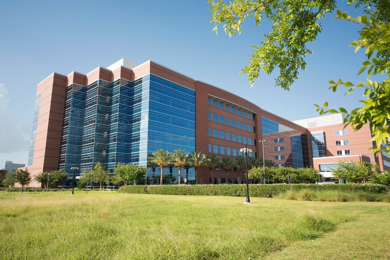 Rugang Zhang Laboratory MD Anderson Cancer Center