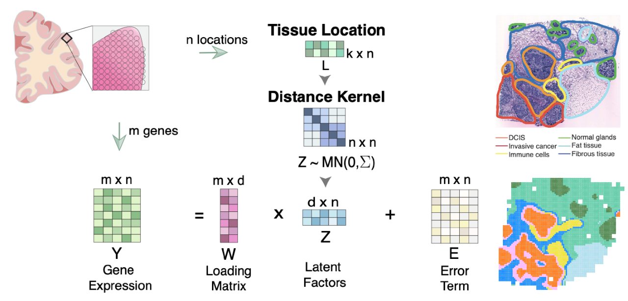 Shang Lab Research | MD Anderson Cancer Center