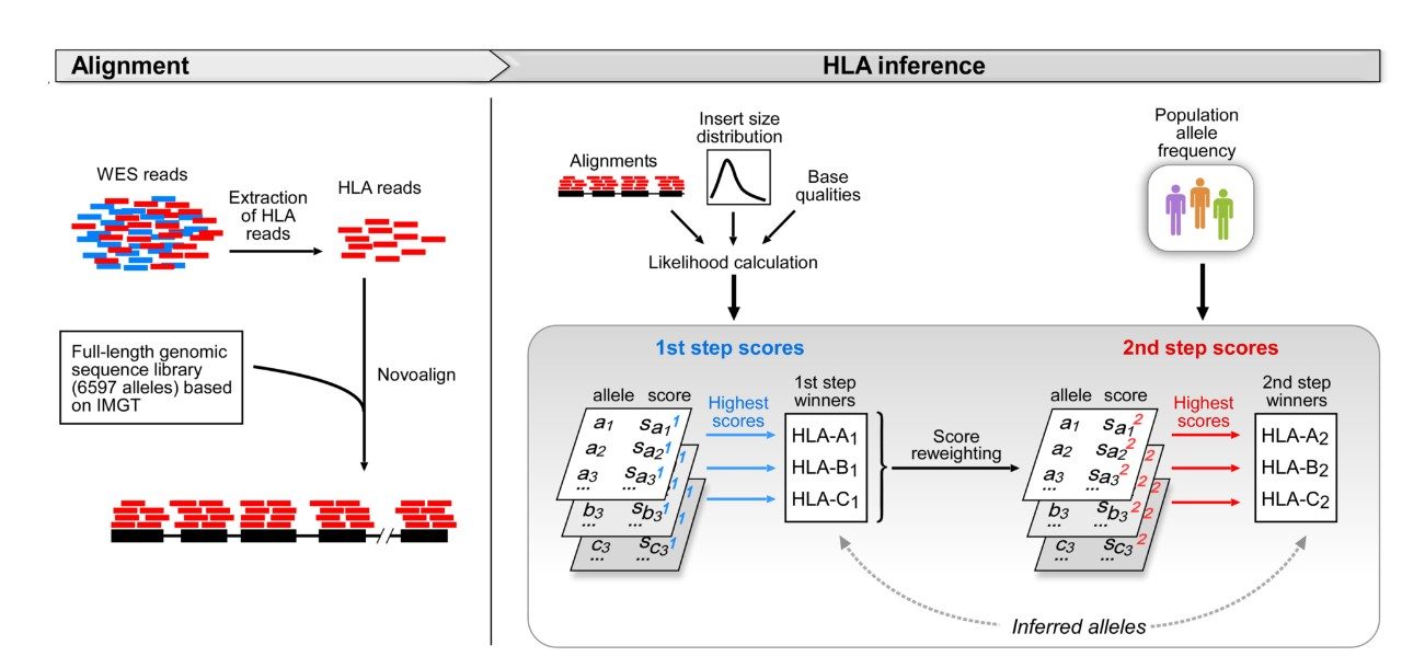 Shukla Laboratory Research MD Anderson Cancer Center