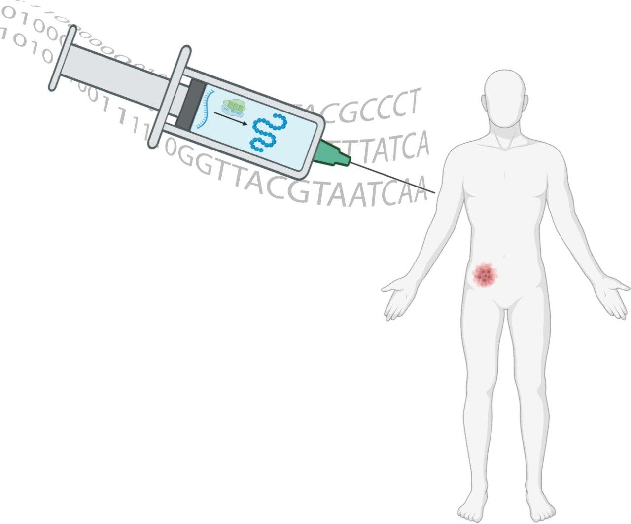 Shukla Laboratory Research MD Anderson Cancer Center