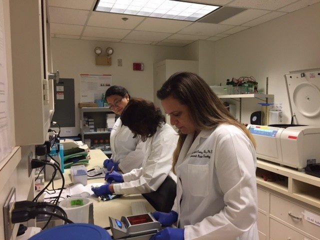 Angelica, Ailin and Mina waiting for gel electrophoresis samples to run