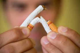 tobacco for deworming dogs Does tobacco kill worms in dogs?