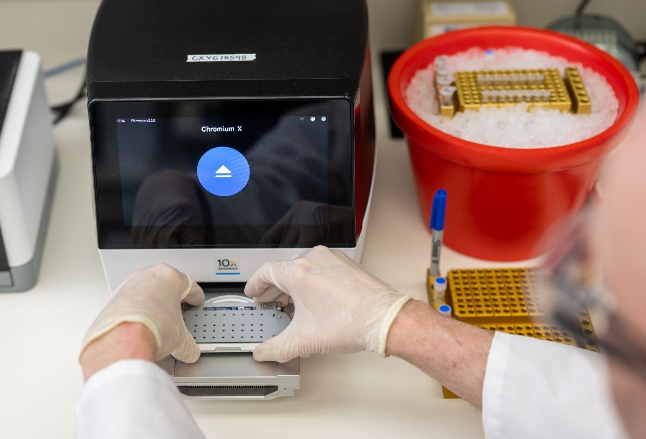Gloved hands working on a sample