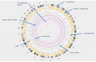Bionano Optical Genome Mapping - 1697225740976 