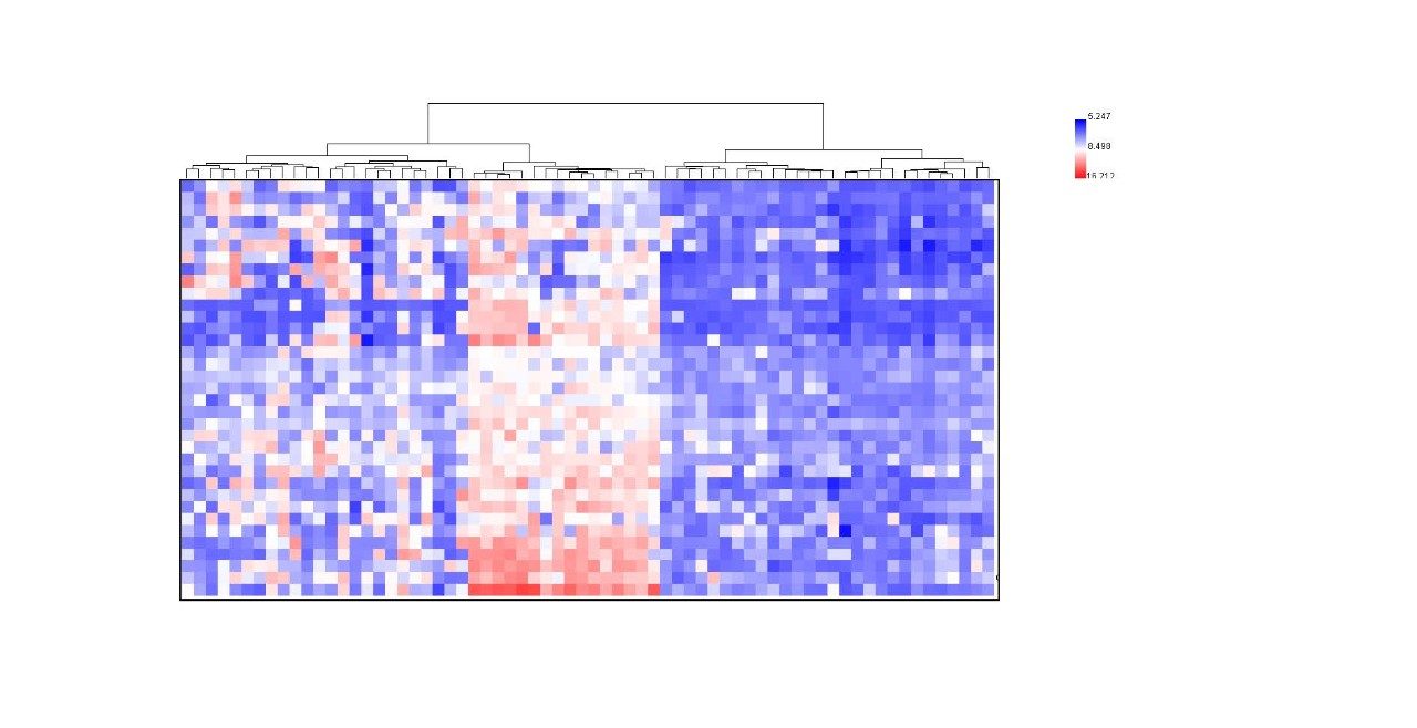CPRIT heat map
