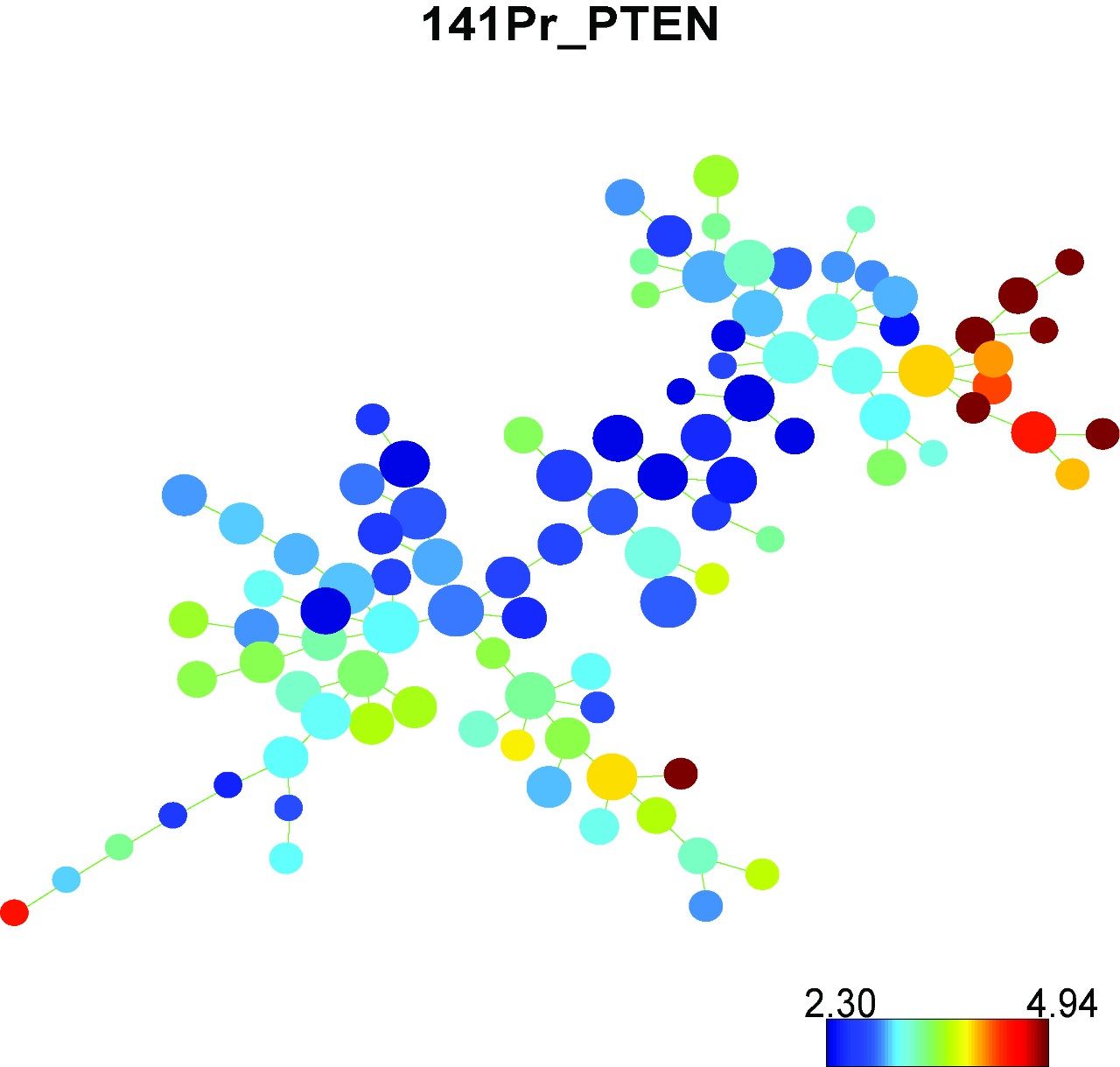 PTEN expression in brain