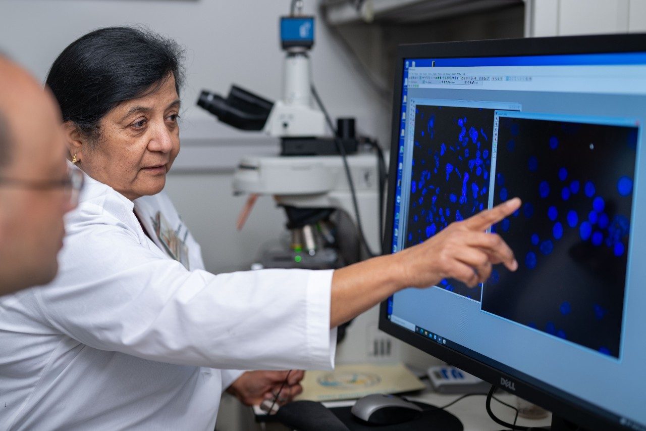 A person in a white lab coat is pointing at a computer monitor displaying microscopic images of blue fluorescent spots. A microscope is visible in the background on the lab bench, along with other scientific equipment.