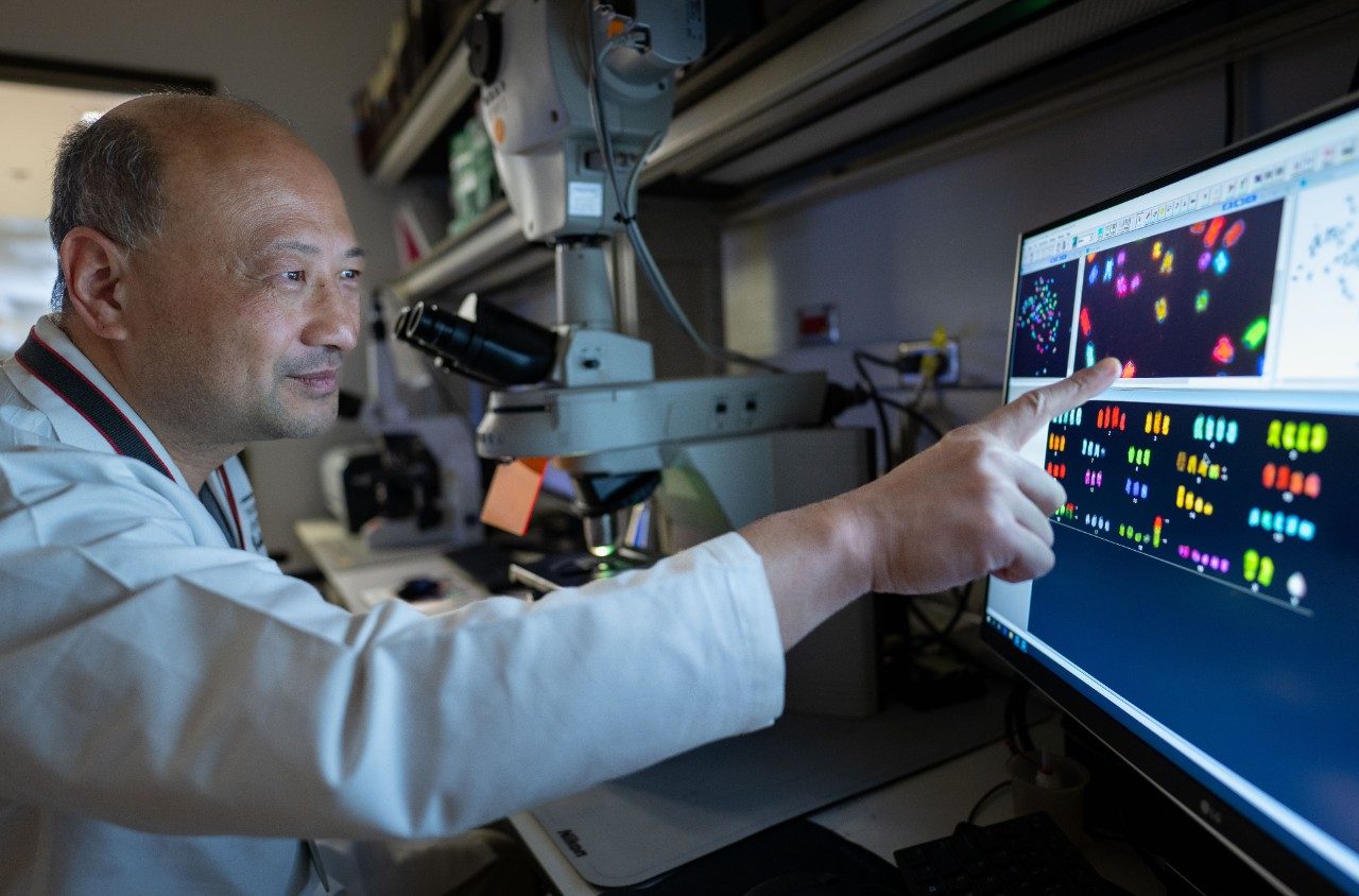 A person in a white lab coat is pointing at a computer monitor displaying colorful karyotype images. A microscope is positioned on the bench nearby, and the workspace includes various lab tools and equipment.