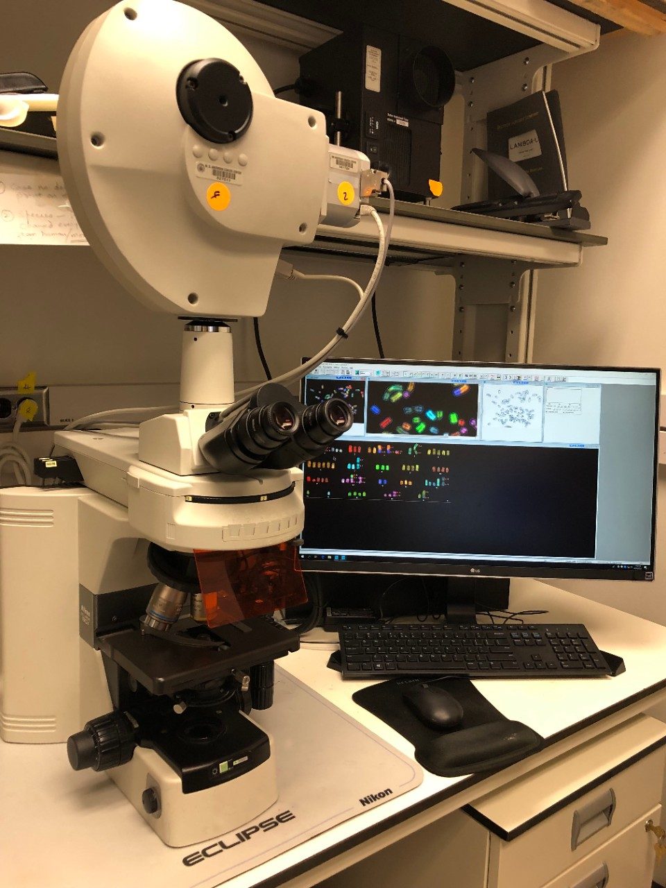 Applied Spectral Imaging  (ASI)  Karyotyping work station (Nikon 80i Microscope and Interferometer)