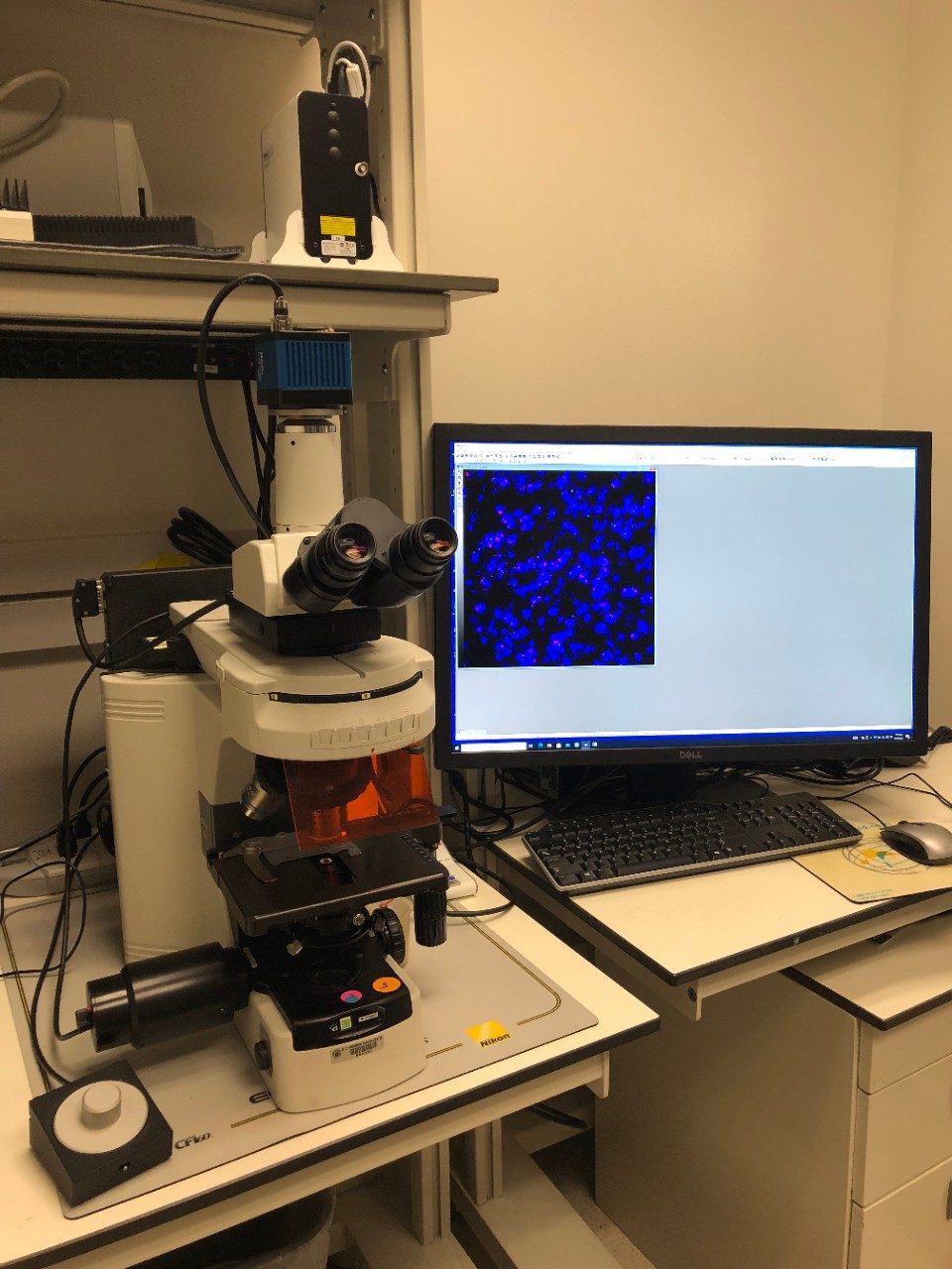 Fluorescence in situ Hybridization  (FISH)  work station (80i Microscope,  PCO Tech Panda camera)