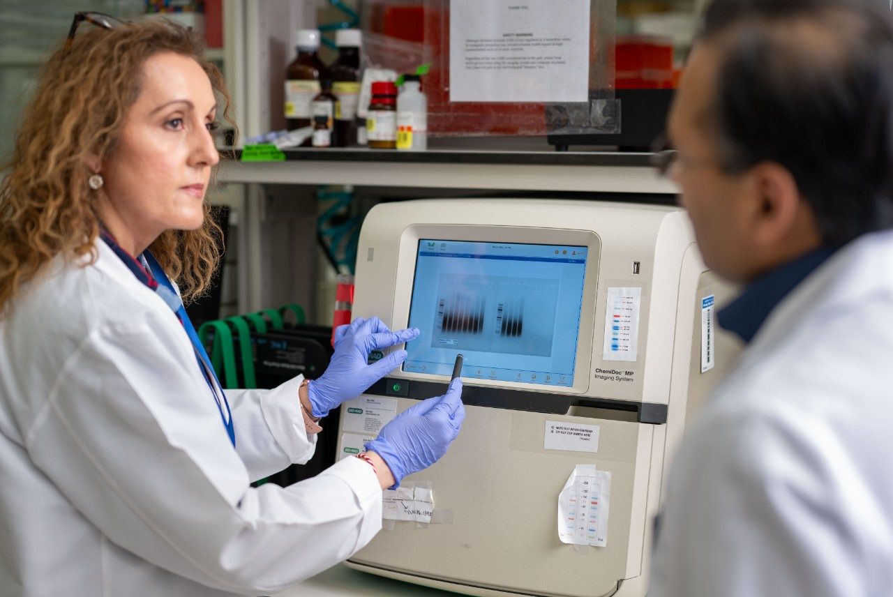 Two individuals in lab coats are standing near a benchtop instrument with a screen displaying electrophoresis results. One person is pointing at the screen with a gloved hand while holding a pen.