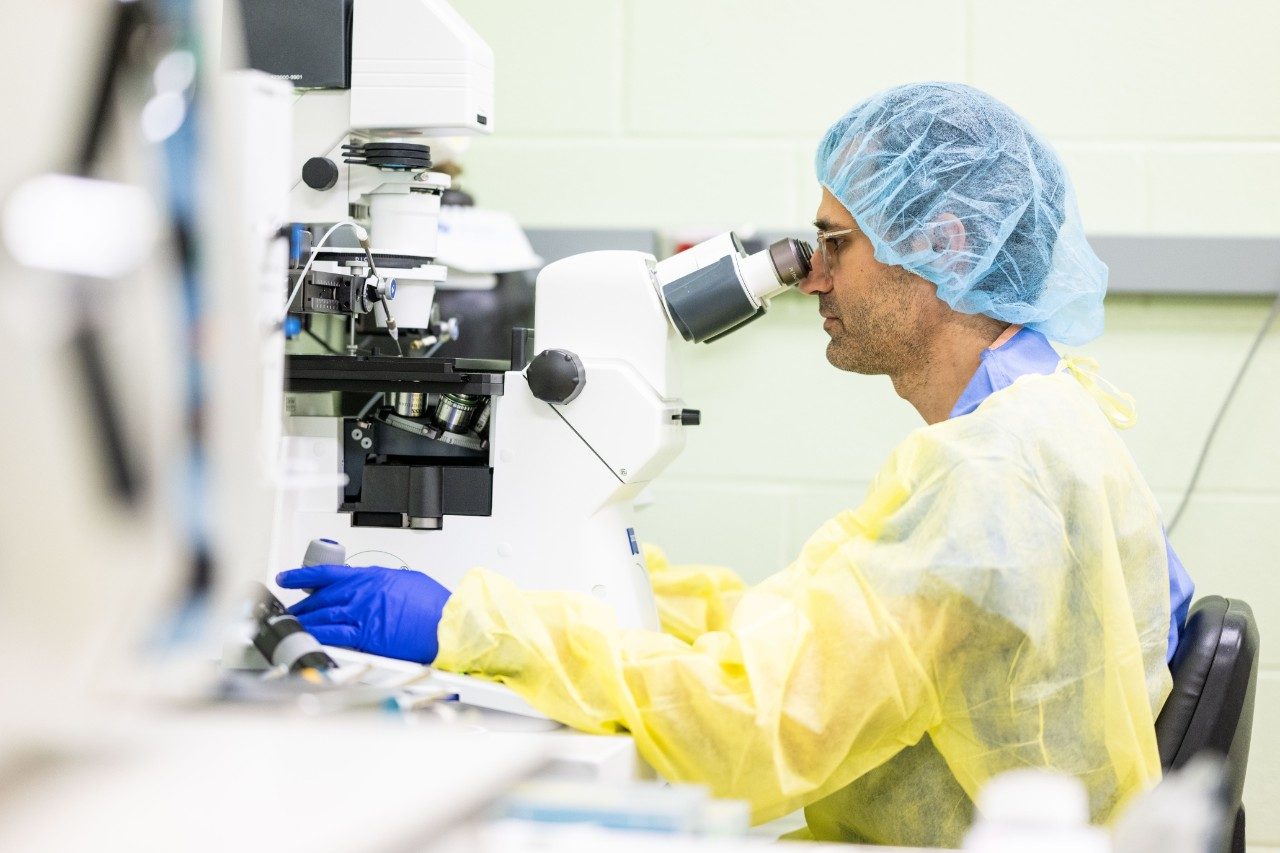 Person working at a microscope