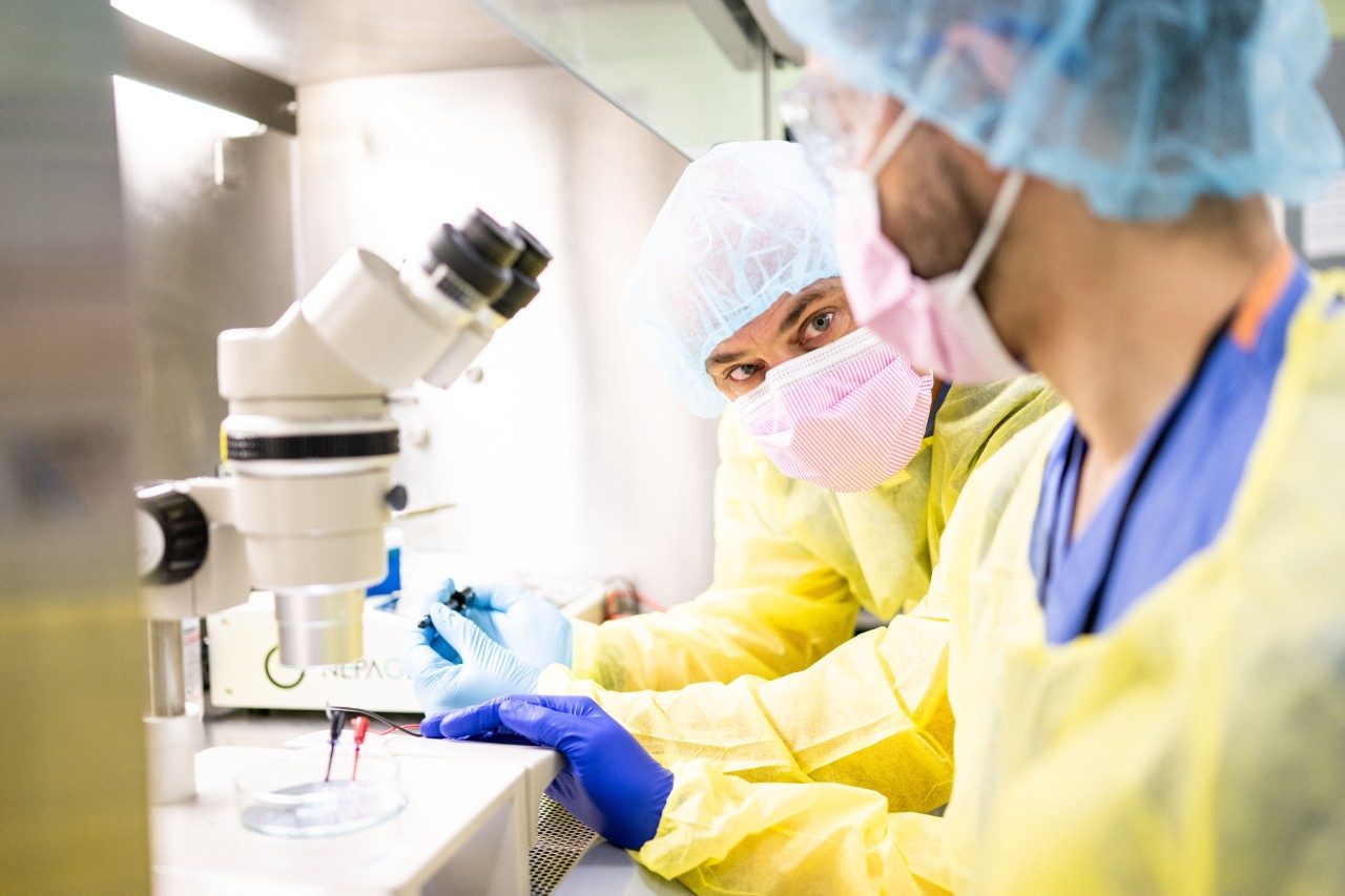 Two people working at a microscope