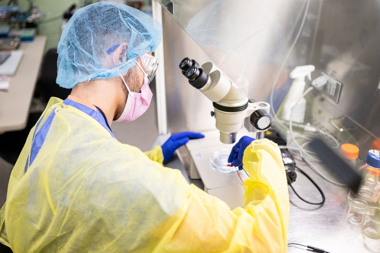 A person working at a microscope