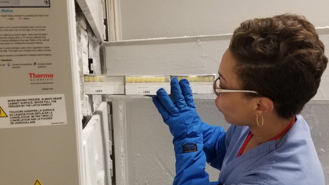 MD Anderson's institutional tissue bank team members stores samples in -80C
