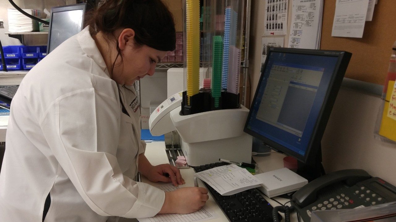 ITB lab member works at a computer in the lab