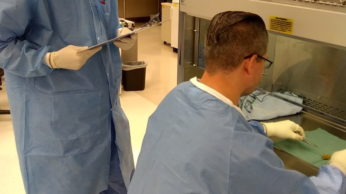 Two ITB staff members in protective gowns and gloves handle a sample inside a biosafety cabinet.
