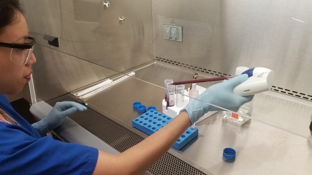 ITB staff member uses a pipette to transfer liquid into tubes inside a biosafety cabinet.