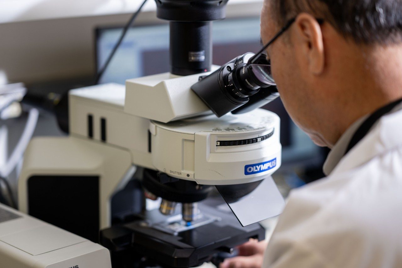A RHCL staff member in a white coat uses a compound microscope at a laboratory workstation.