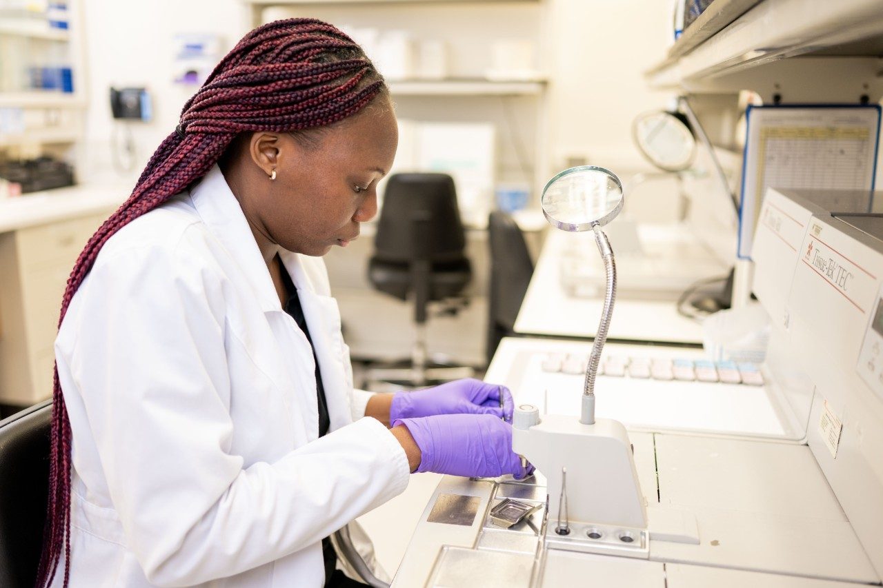 An RHCL staff member in a white coat and purple gloves prepares tissue samples