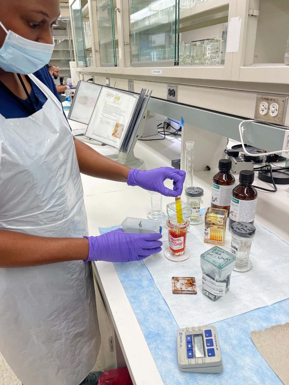 A RHCL staff member wearing gloves and apron and preparing histology slides