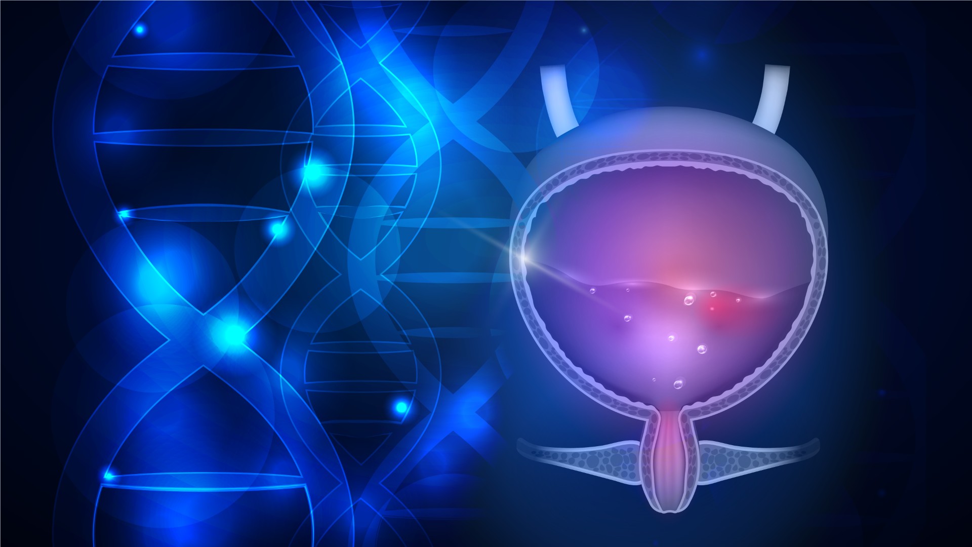Why This Discovery Could Redefine Bladder Cancer Care Why This Discovery Could Redefine Bladder Cancer Care