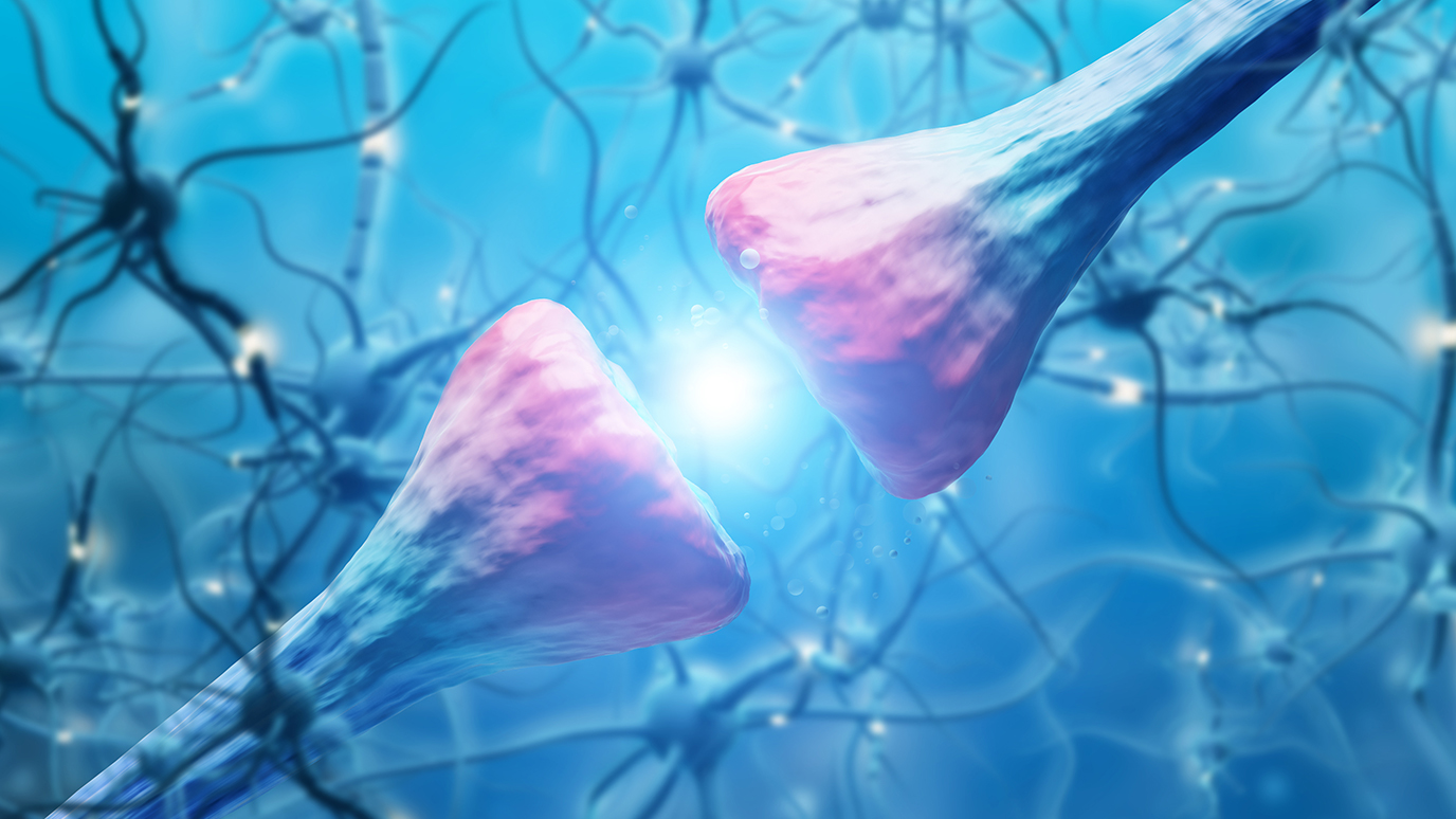 Researchers identify driver of nervous system overactivity in ...