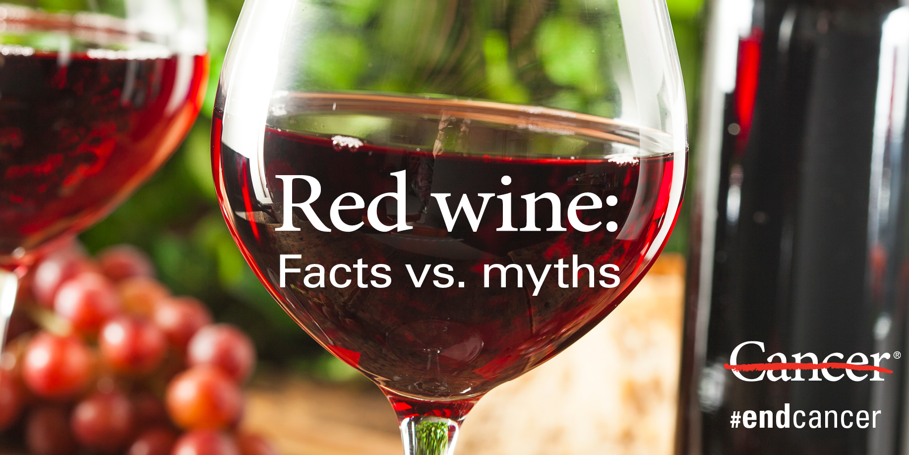 Red wine and your health Facts and myths MD Anderson Cancer Center