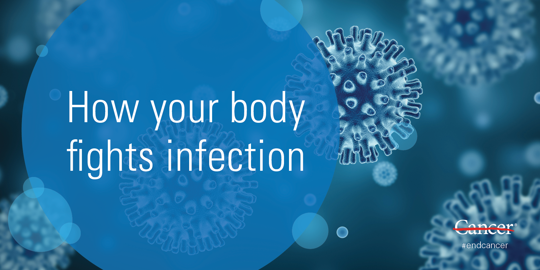 Exercise and the lymphatic system MD Anderson Cancer Center